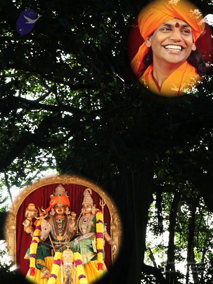 Anandeshwar Swamji Banyan_CMP_WM